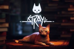 Valuable Tips for Playing Stray Game